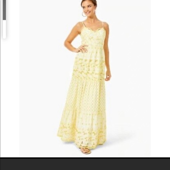 Lilly Pulitzer Dresses & Skirts - Lilly St Tropez Garden Gate Eyelet Dress NWT